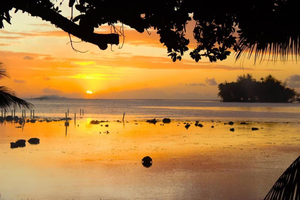 Bungalow Tiarii, Avec Acces Direct A Une Plage Privee Tevaitoa Extérieur photo
